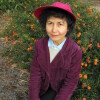 Judy Van Arsdale Photo